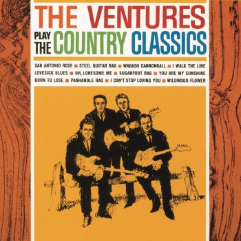 The Ventures I Can't Stop Loving You