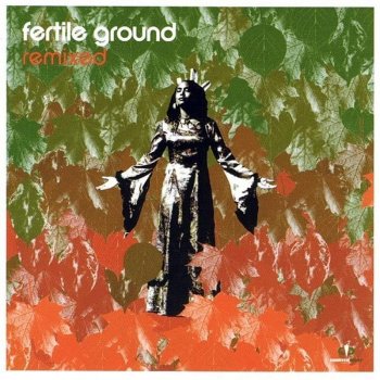 Fertile Ground Spiritual War (Kaidi Tatham Remix)