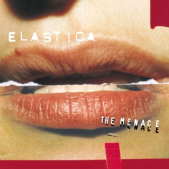 Elastica Human