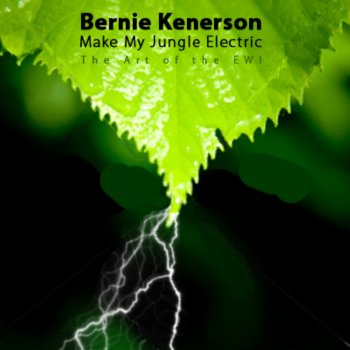 Bernie Kenerson Cruzin' the Expanse