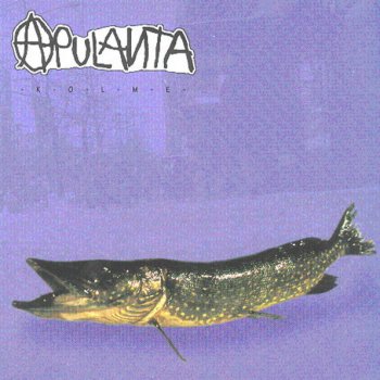 Apulanta Kilpikonna