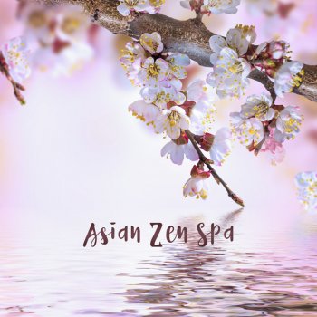 Zen Spa Zen Relaxation Zen Massage Meaning of Eastern Life