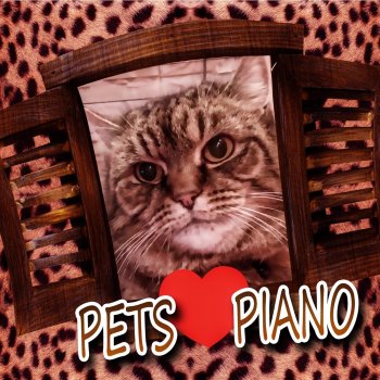 Pet Music Academy Feel Secure (Gentle Piano)