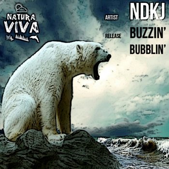 NDKj Buzzin' Bubblin' - Original Mix