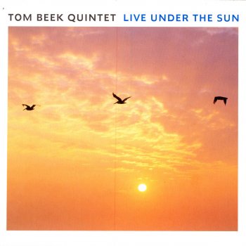 Tom Beek Grand Central (live)