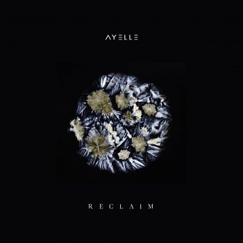 Ayelle Reclaim