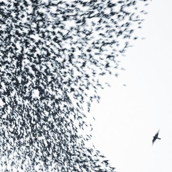 Wilco Let's Not Get Carried Away (Bonus Track)