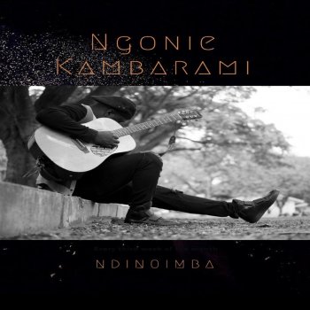 Ngonie Kambarami Wakaenda