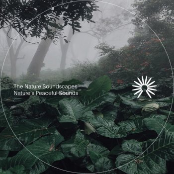 The Nature Soundscapes 2AM Waves