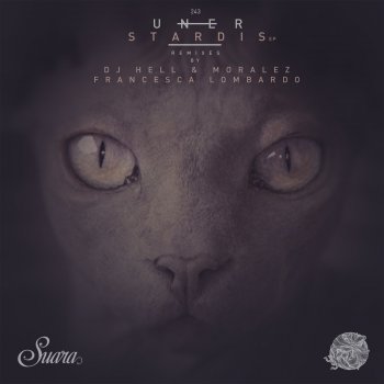 Uner Disclaimer - Original Mix