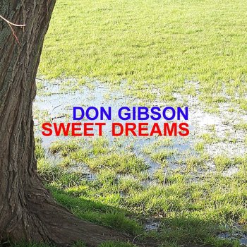 Don Gibson Sittin' Here Cryin'