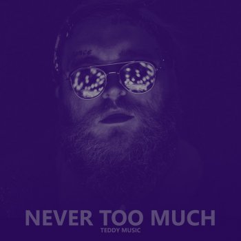 Teddy Music Never Too Much