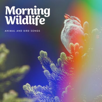 Animal and Bird Songs Isolate Moist