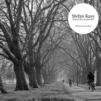 Stefan Kaye Down the Avenue