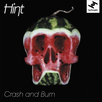 Исполнитель Hint feat. Natalie Storm, альбом Crash and Burn
