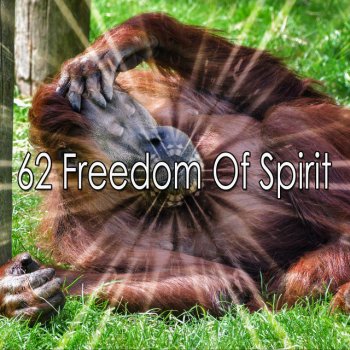 Sound Sleeping Dreamy World