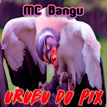 MC Bangu Urubu do Pix