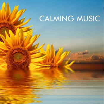 Calming Music Academy Calming Music