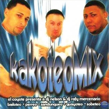 DJ Nelson feat. DJ Rafy Mercenario Gata Suelta