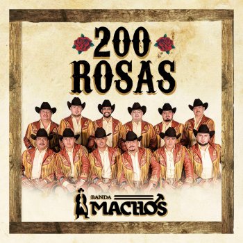 Banda Machos 200 Rosas