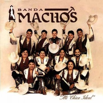 Banda Machos Usted