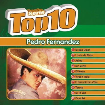 Pedro Fernandez Si Te Vas - Version Romantico