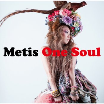 Metis 人間失格