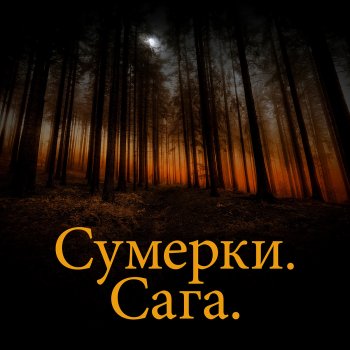 The City of Prague Philharmonic Orchestra feat. Evan Jolly Marry Me, Bella (From "Сумерки. Сага. Новолуние")