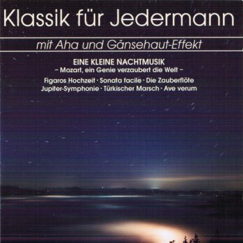 Hungarian Chamber Orchestra feat. Vilmos Tátrai Symphony No. 40 in G Minor, K. 550: I. Molto allegro