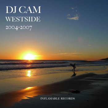 DJ Cam Endless Summer