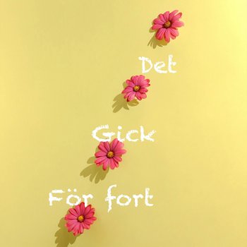 Lukas Larsson Det gick för fort
