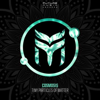 Cosmosis Tiny Particles of Matter