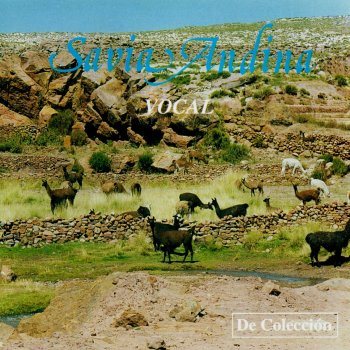 Savia Andina El Olvido