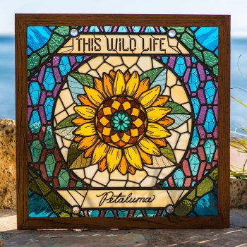 This Wild Life Positively Negative