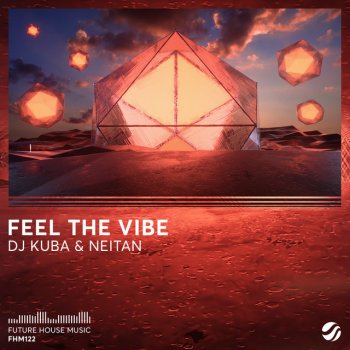 Dj Kuba & Neitan Feel The Vibe