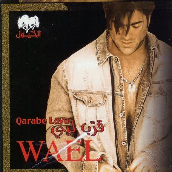 Wael Kfoury Habebe Ta'a - حبيبي تعا