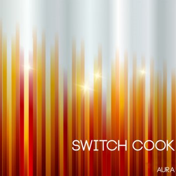 Switch Cook Flashnight