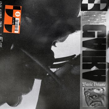 GAIKA 36 Oaths