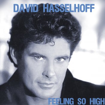 David Hasselhoff Save the World