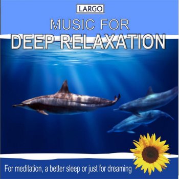 LARGO The Way Into Deep Meditation