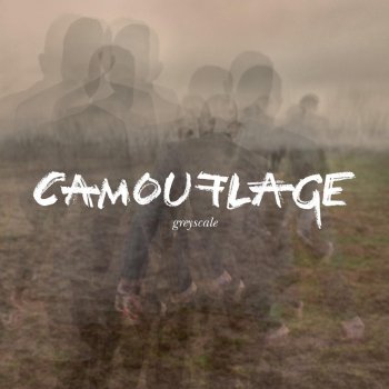 Camouflage In the Cloud