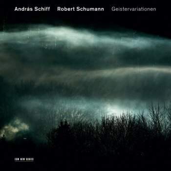 Robert Schumann feat. András Schiff Kinderszenen, Op.15: Fast zu ernst