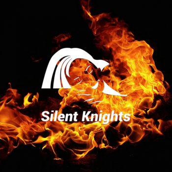 Исполнитель Silent Knights, альбом Relaxing Fire Sounds for Sleep