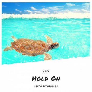 Naiv Hold On
