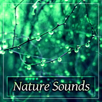 Water Sounds Music Zone Calm Down