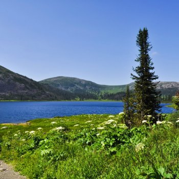 Moscow RTV Large Symphony Orchestra & Vladimir Fedoseyev Symphony No. 4 in G Major: IV. Sehr behaglich