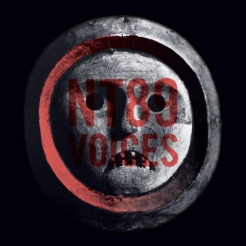 Исполнитель NT89, альбом Voices