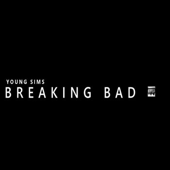 Исполнитель Young Sims, альбом BREAKING BAD - Single