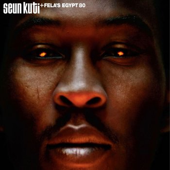 Seun Kuti Mosquito Song