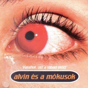 Alvin és a Mókusok Mindjárt sírok